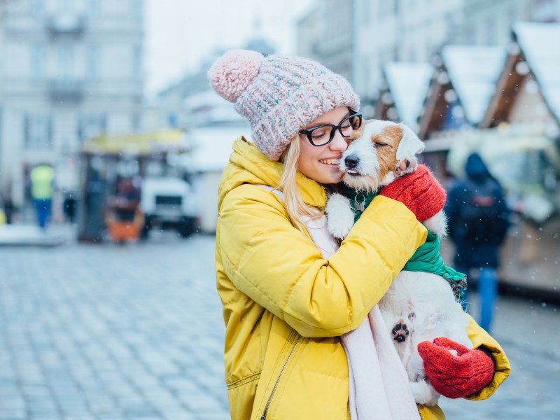 Hund auf dem Weihnachtsmarkt