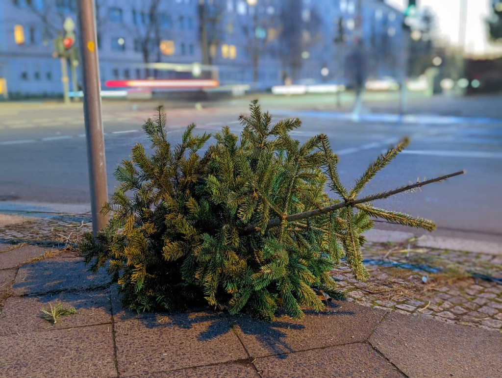 Weihnachtsbaum an der straße