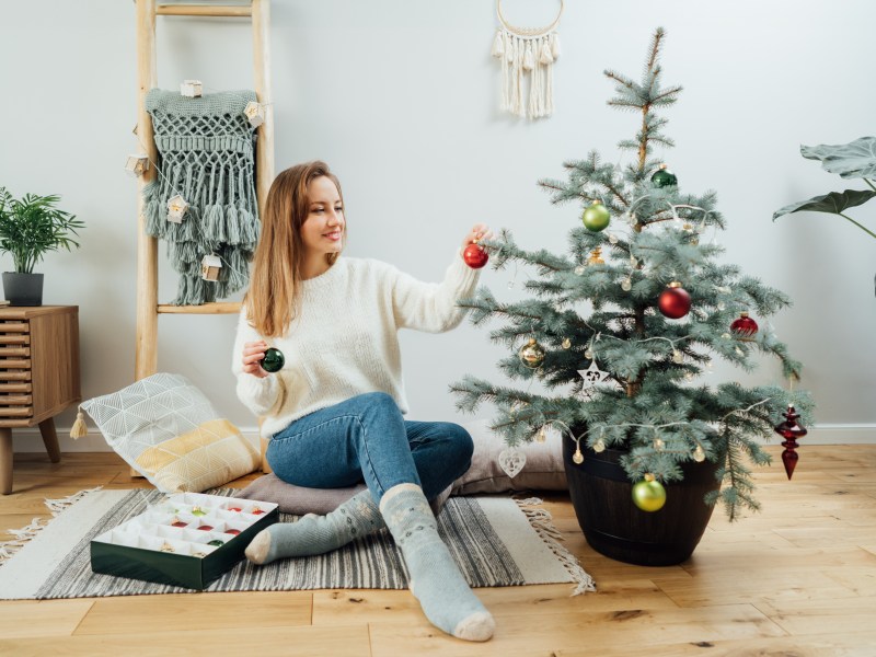 Weihnachtsbaum im Topf