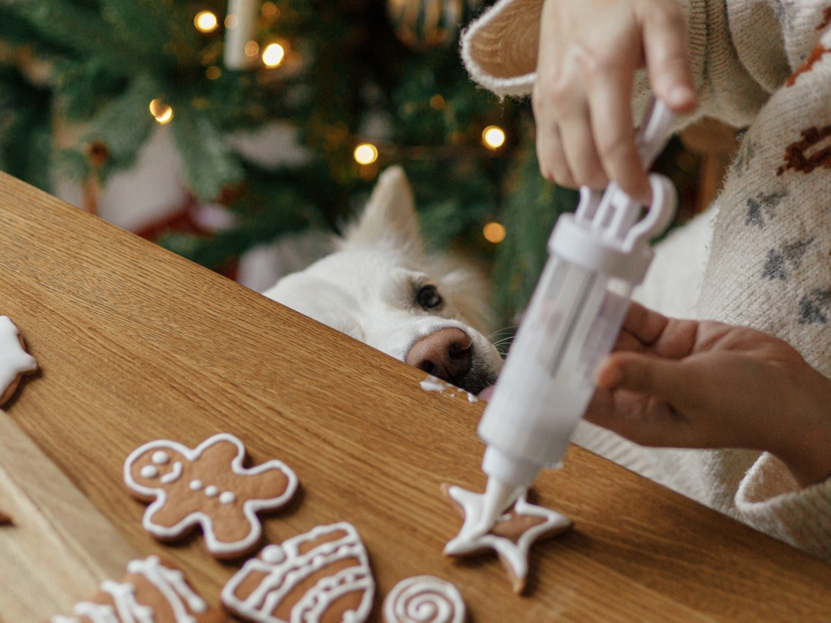 Weihnachtskekse fÃ¼r Hunde