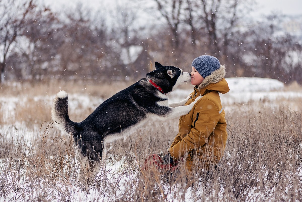 Husky