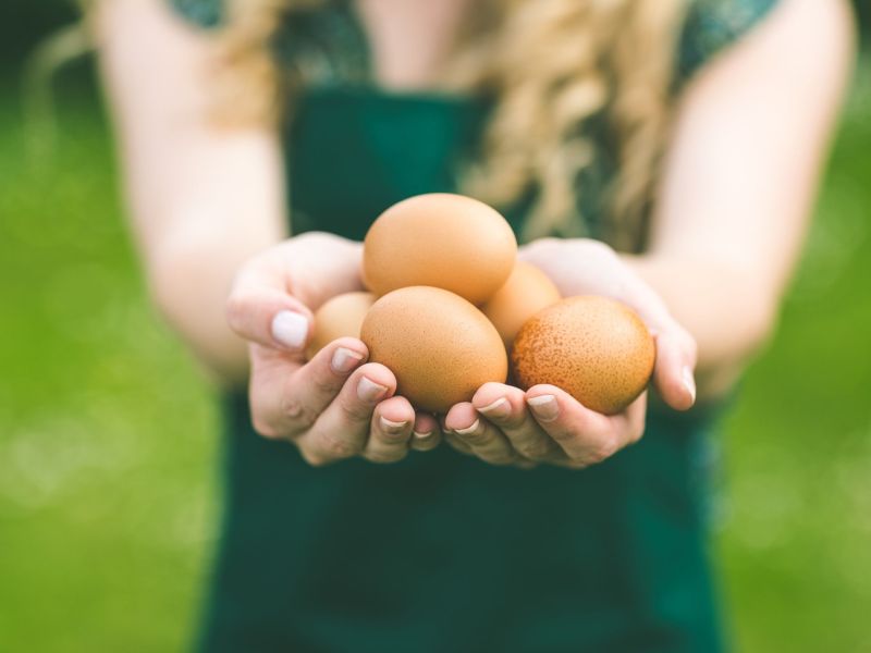 Frau Eier Vegan Ersatz