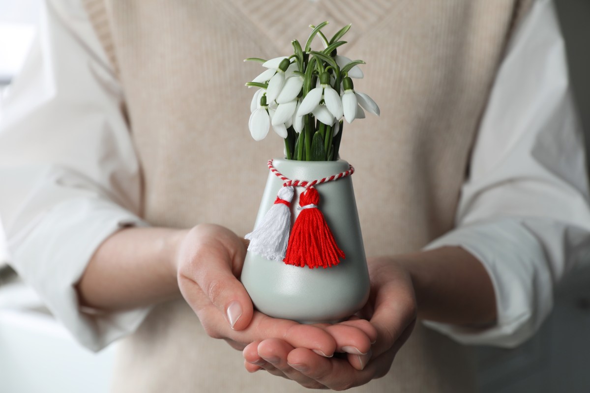 Schnittblumen im Frühling