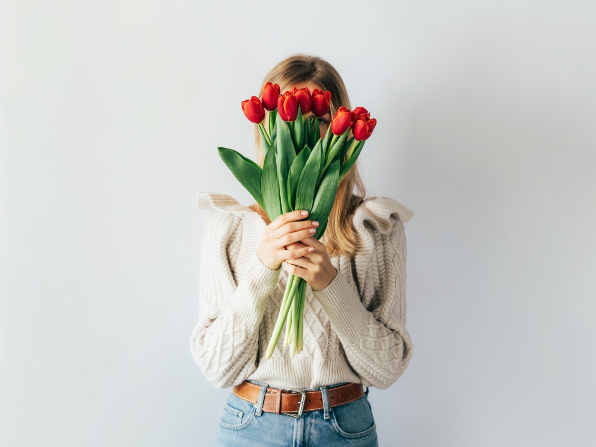 Welche Blumen blühen eigentlich zu welchem Zeitpunkt?