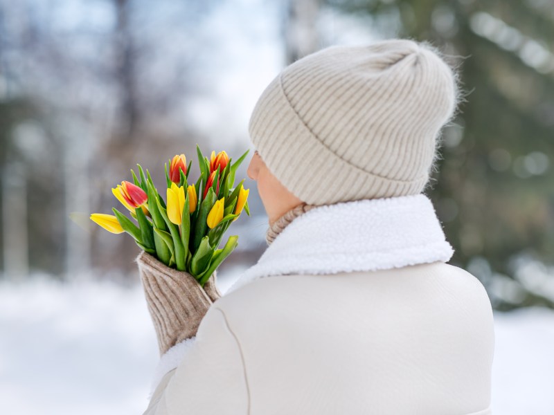 Schnittblumen im Winter