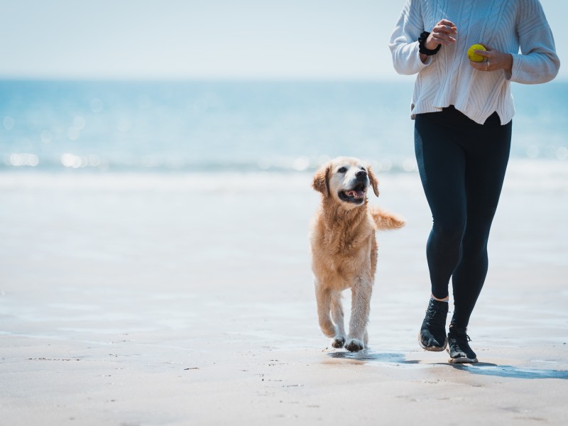 Frau mit Hund beim Joggen: Steinbock, Hobbys und Side Hustle Ideen für das Sternzeichen