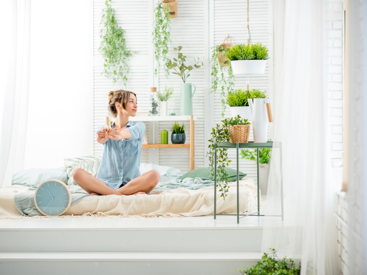 Mit diesen 3 Pflanzen kannst du im Schlafzimmer besser schlafen