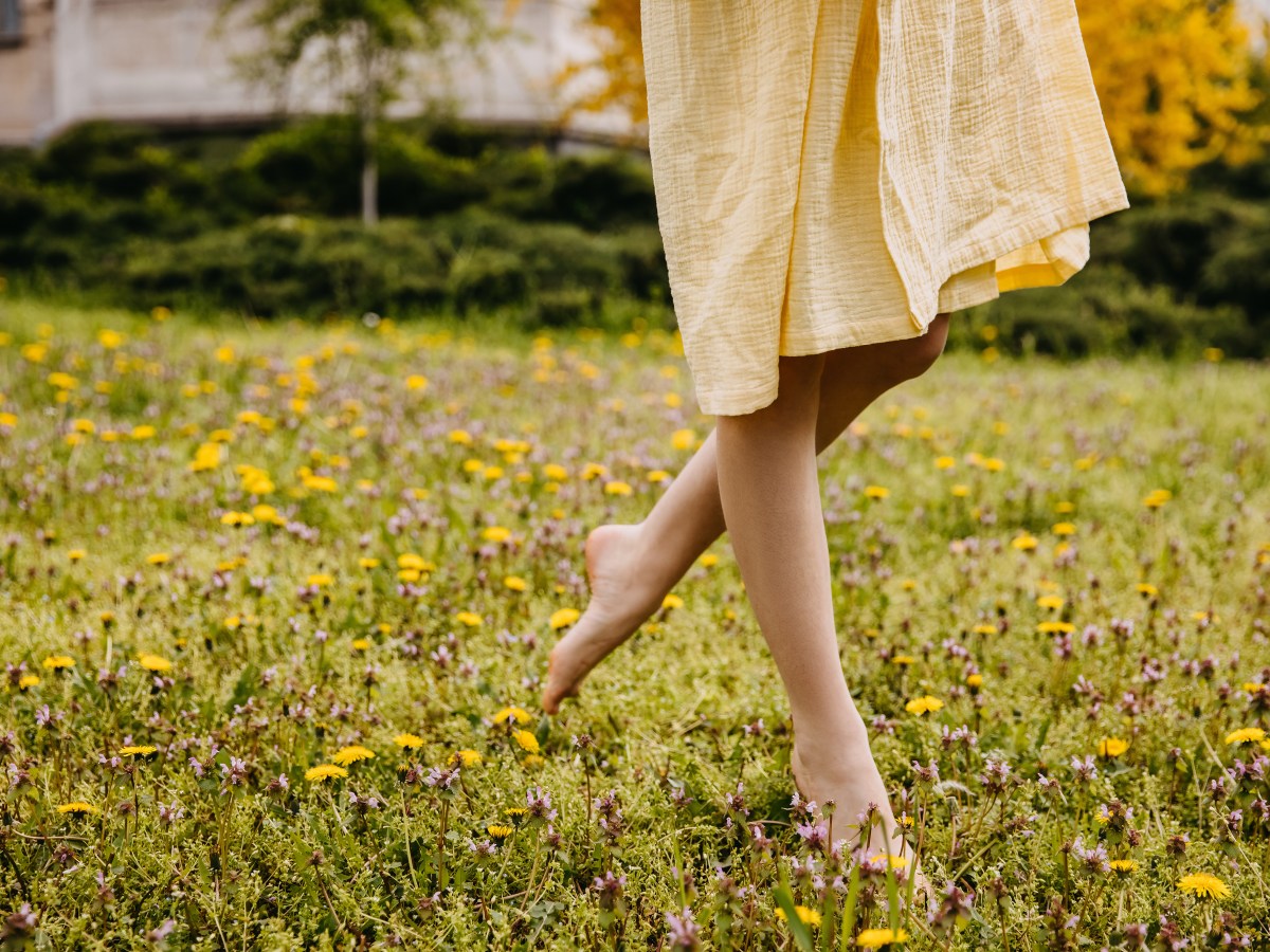 Blumenwiese anlegen: So schaffst du ein Meer aus Blumen