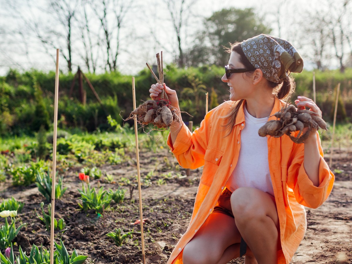 Gartenarbeit im Mai: 4 Aufgaben, die nun anstehen