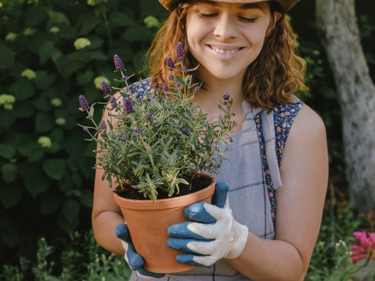 Diese 3 Pflanzen vertreiben Zecken aus deinem Garten