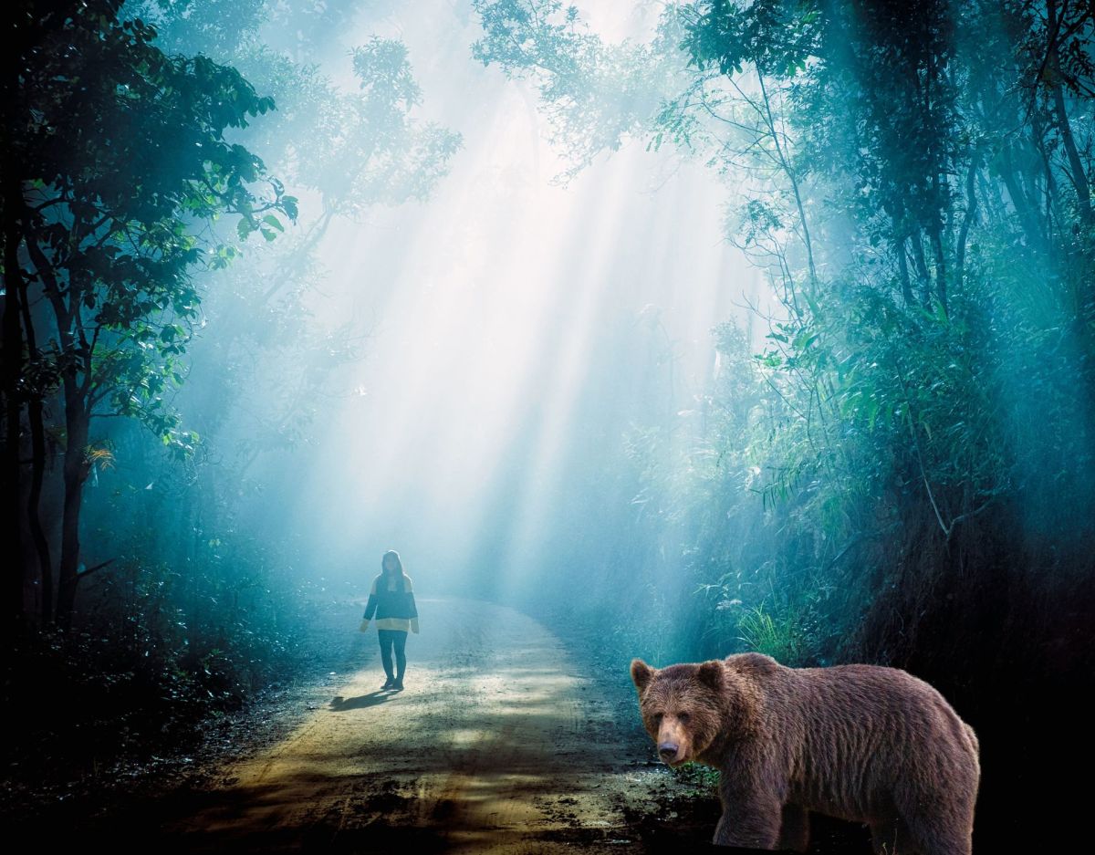 TikTok-Diskussion Mann oder Bär: Wen würde man als Frau in einem Wald eher treffen wollen?