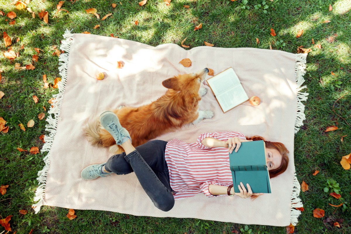 Picknick mit Hund