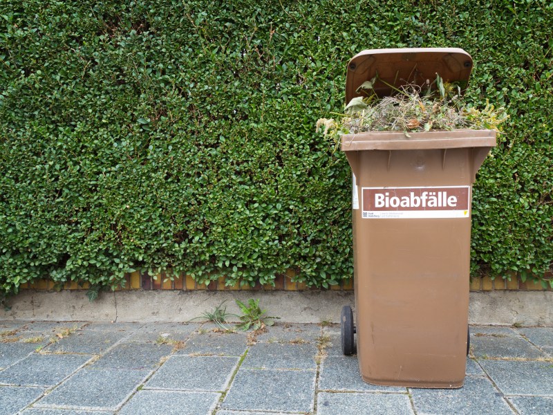 Eine volle Biotonne steht am StraÃŸenrand.