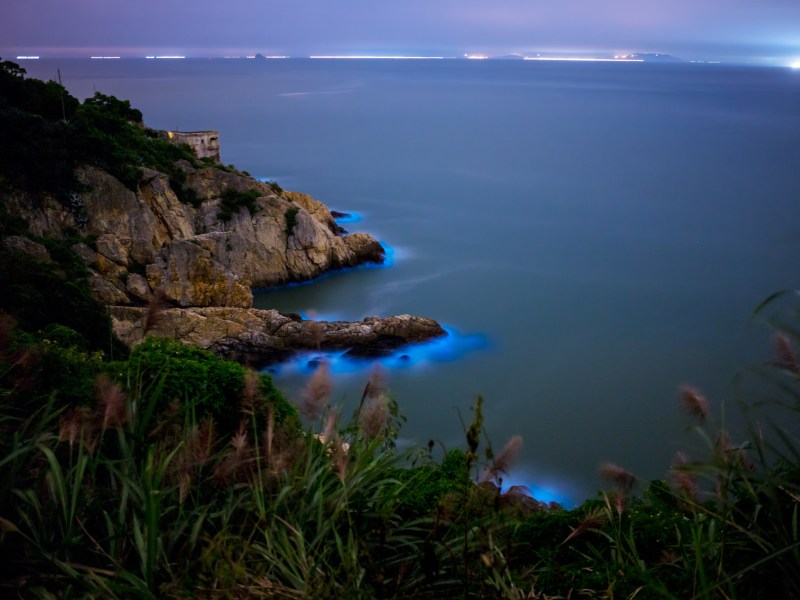 Meeresleuchten wirkt magisch: An diesen Orten kannst du das glitzernde Meer sehen.