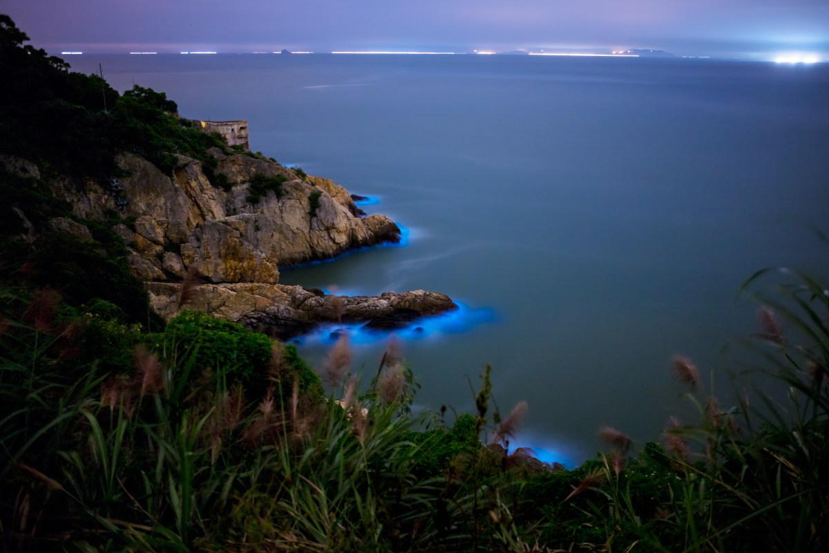 Meeresleuchten wirkt magisch: An diesen Orten kannst du das glitzernde Meer sehen.