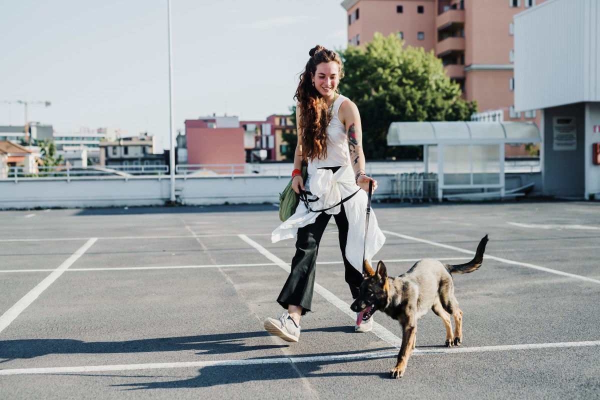 Leinenführigkeit beim Hund