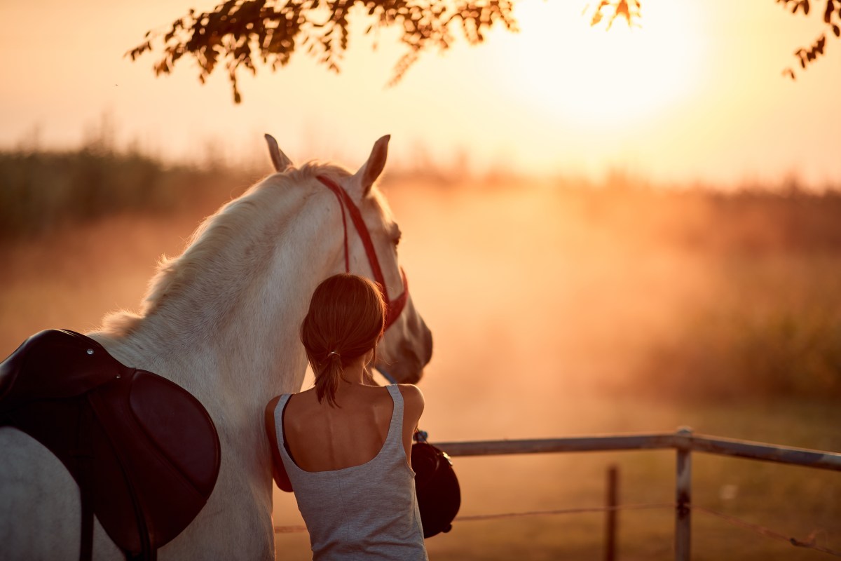 Traumdeutung Frau mit Pferd im Sonnenuntergang