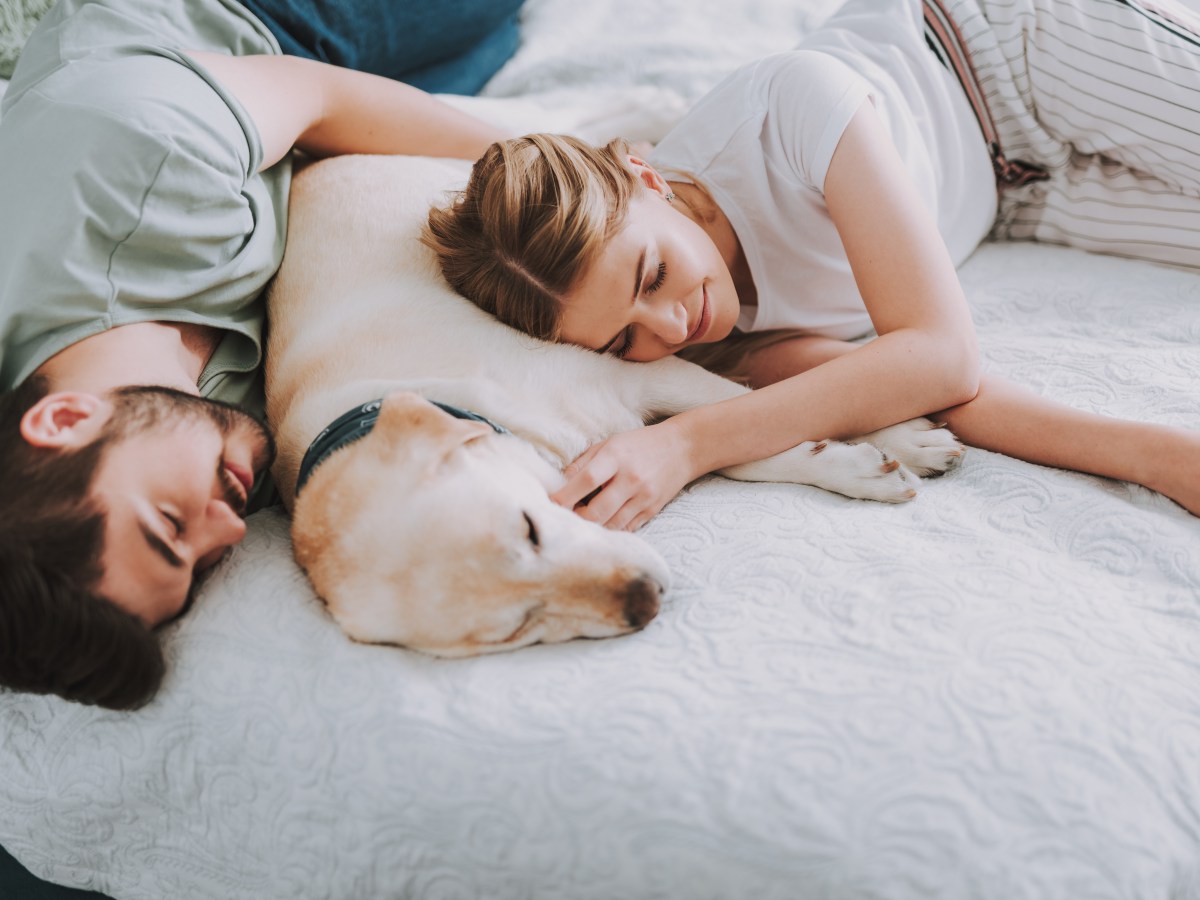 Kontaktliegen beim Hund: Das bedeutet es, wenn deine Fellnase nahe bei dir schläft