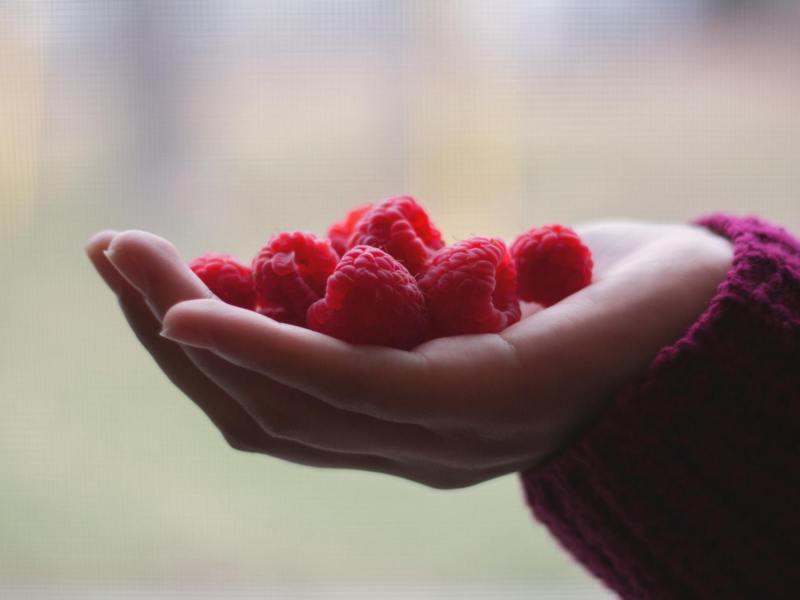 Himbeeren in der Hand