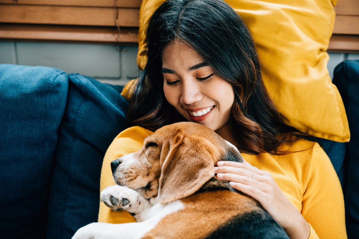 Hund aus dem Tierschutz Anfänger