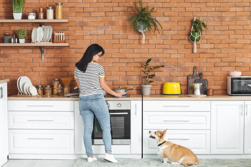 Frau kocht für den Hund