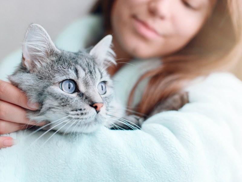 Katze liegt im Arm von Frau