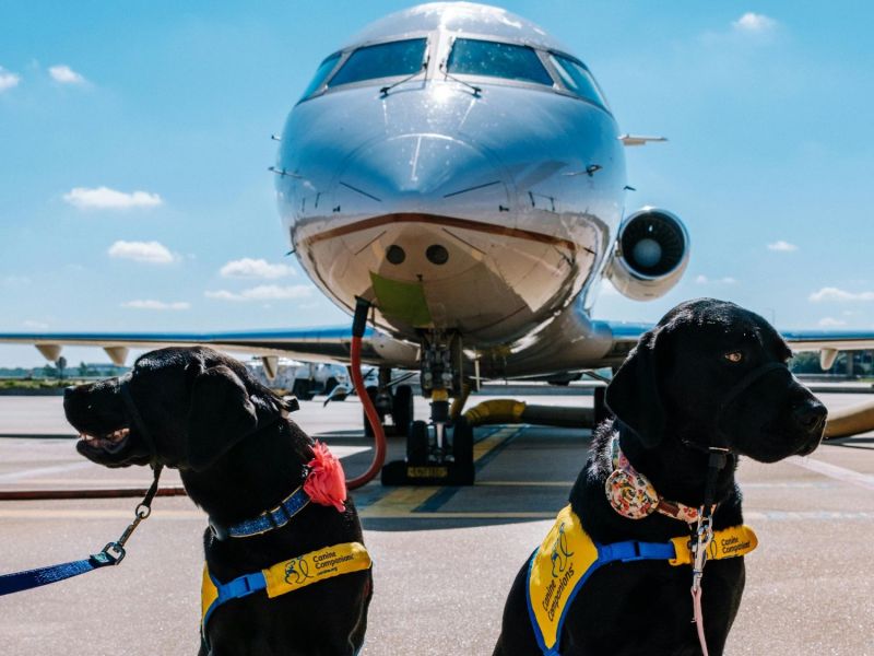Hund Airline