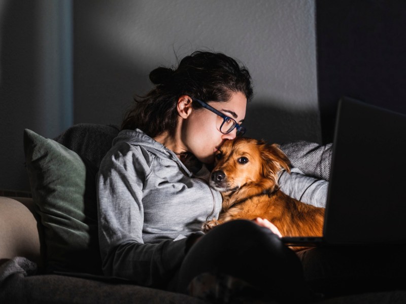 Hund Fernsehen