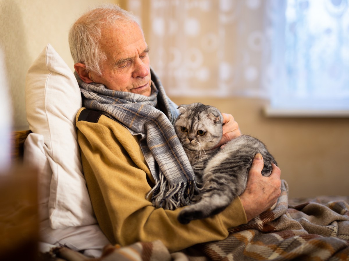 Rentner mit Katze auf dem Schoss