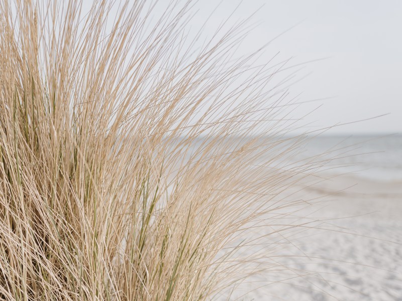 Im Rahmen einer neuen Studie wurde der weißeste Strand der Welt gekürt!