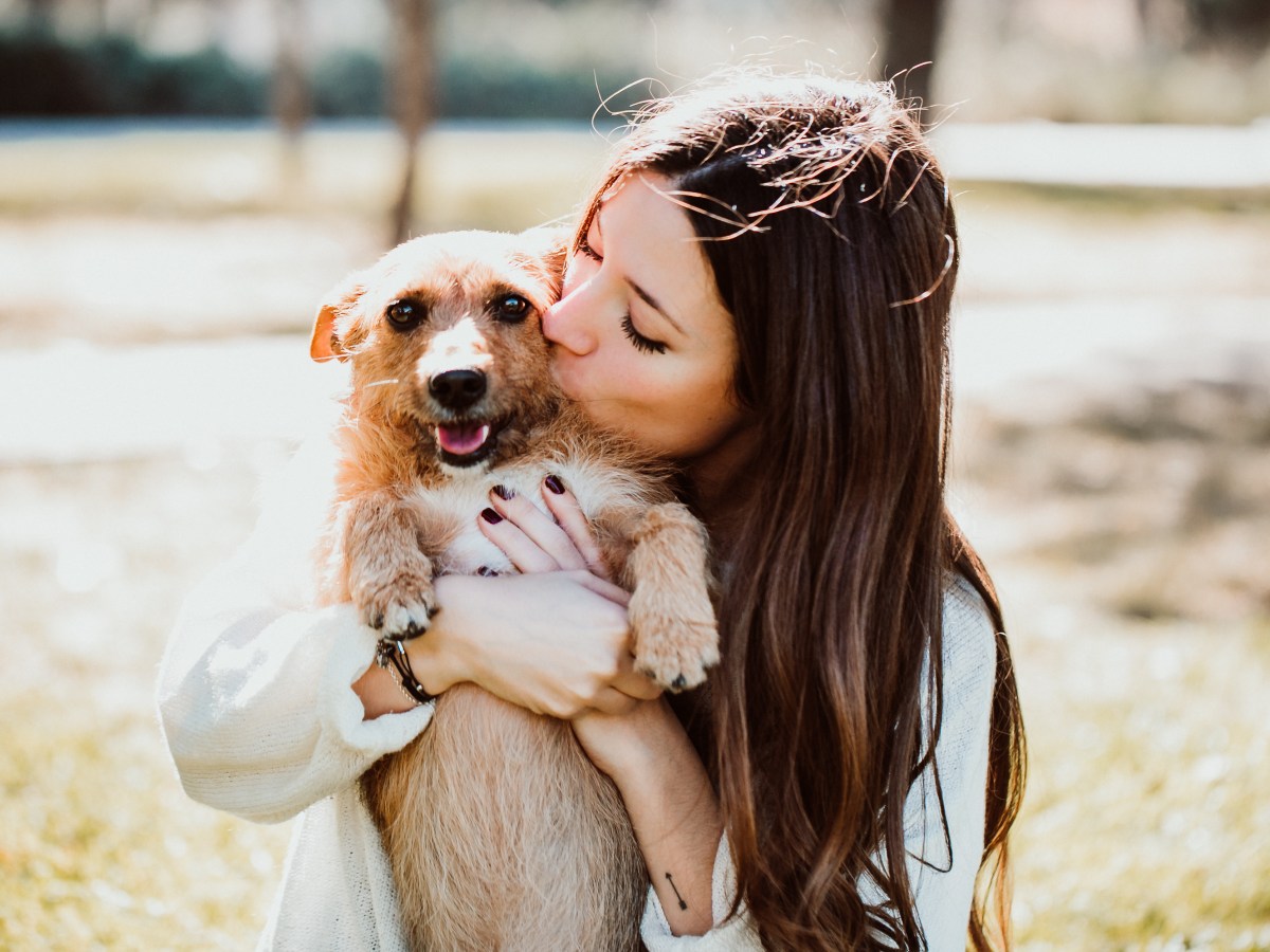 Studie beweist: So schaffen Hunde es, ihr Gehirn mit unserem zu synchronisieren