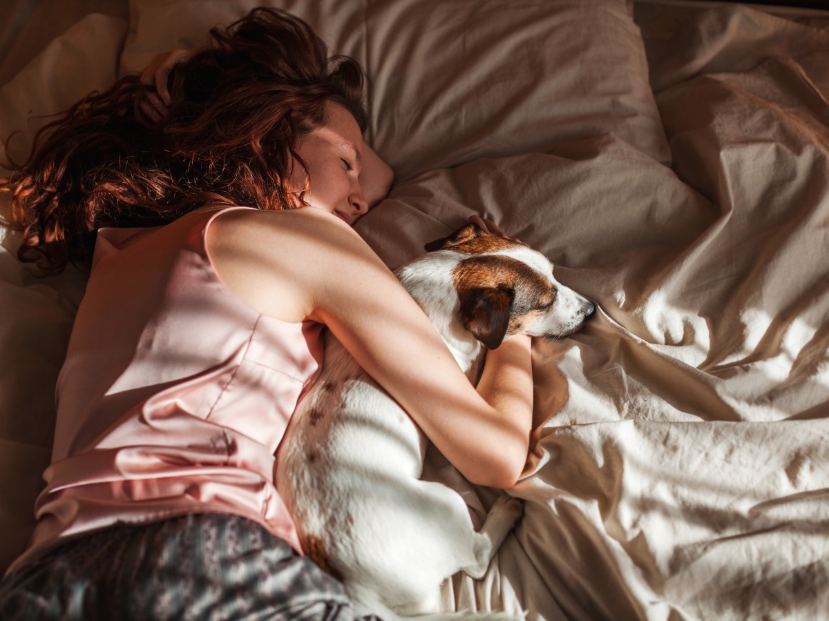 Studie bestätigt: 10 gute Gründe, warum du deinen Hund im Bett schlafen lassen solltest