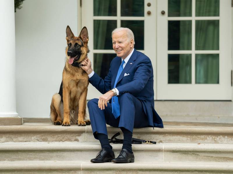 Joe Biden Schäferhund