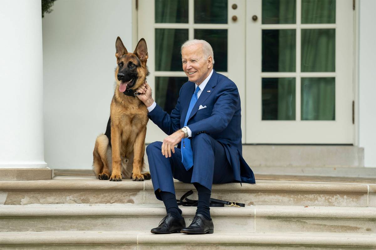 Joe Biden SchÃ¤ferhund