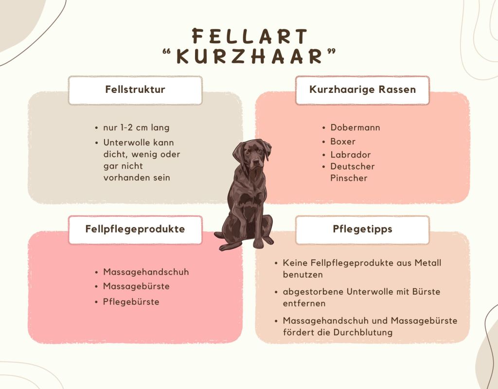 Kurzhaar Hunde