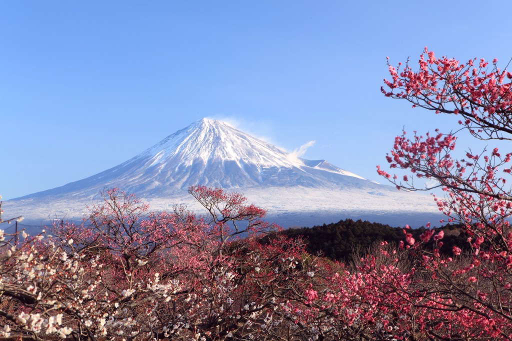 Der schneebedeckte Fuji in Shizuoka.