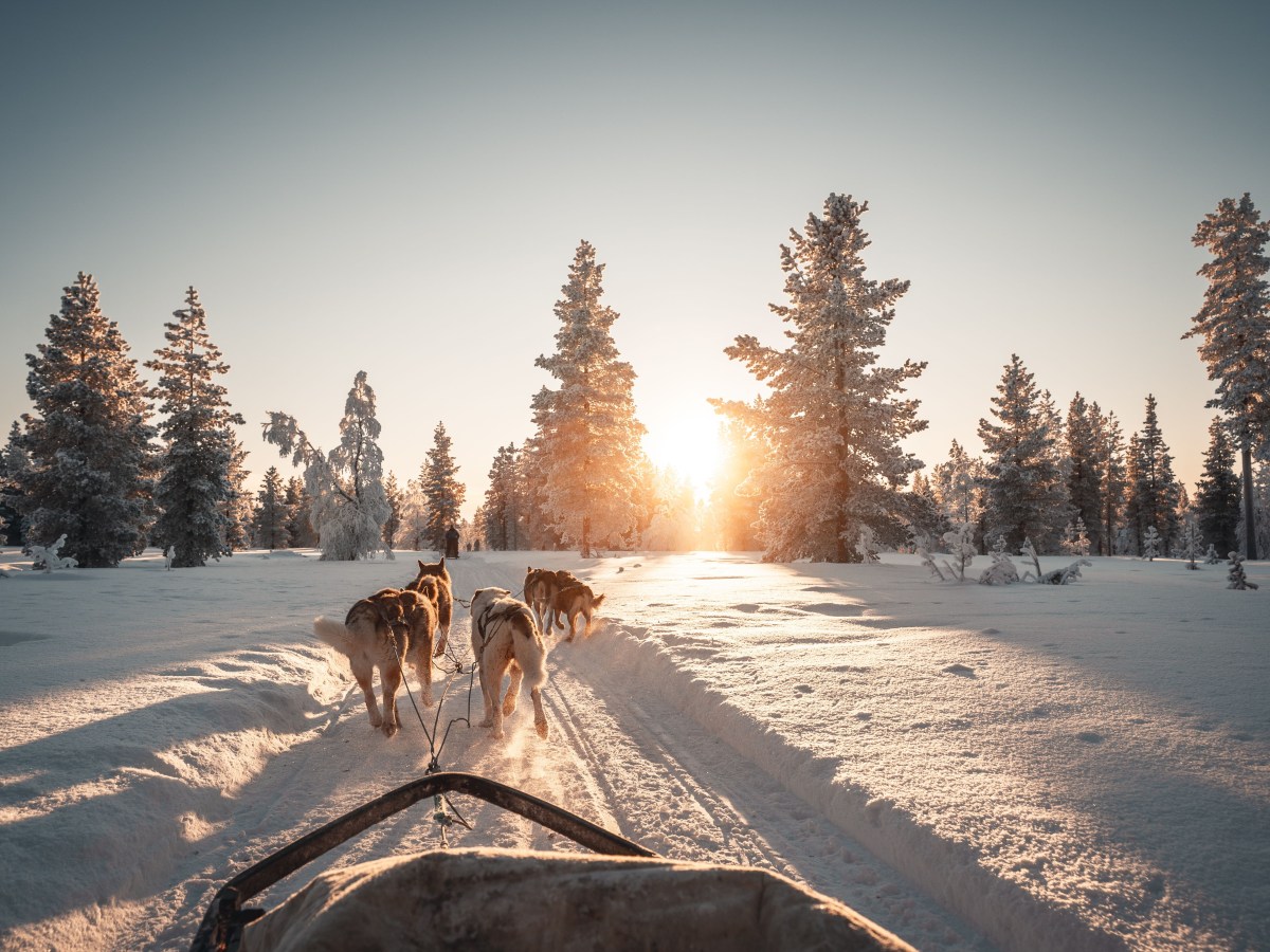 Studie zeigt: An diesen 10 Orten kannst du mit Schnee an Weihnachten rechnen.