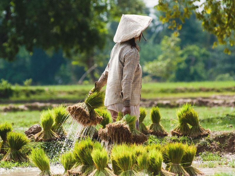 Laut Studie: Die 6 beliebtesten LÃ¤nder in Asien.