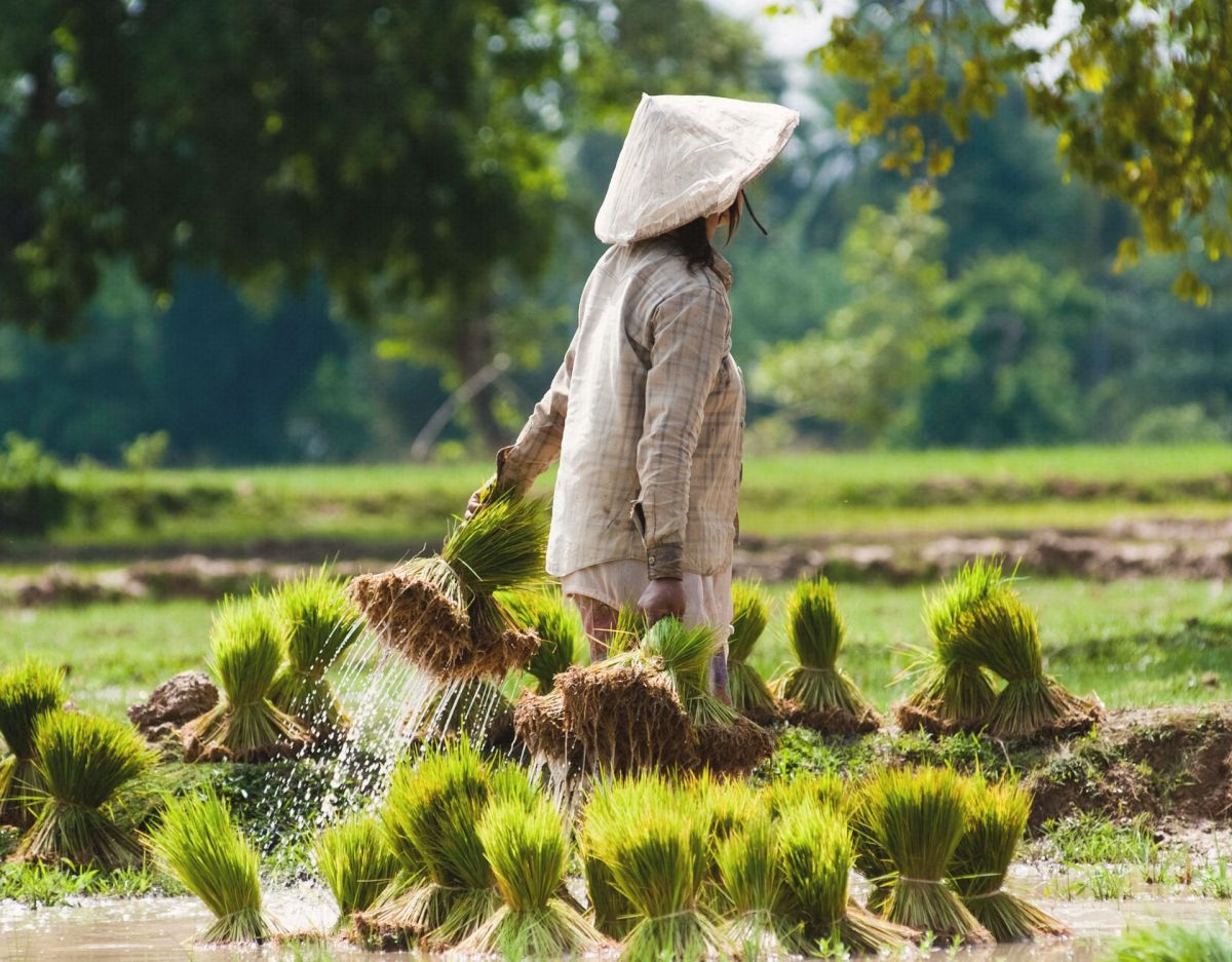 Laut Studie: Die 6 beliebtesten LÃ¤nder in Asien.