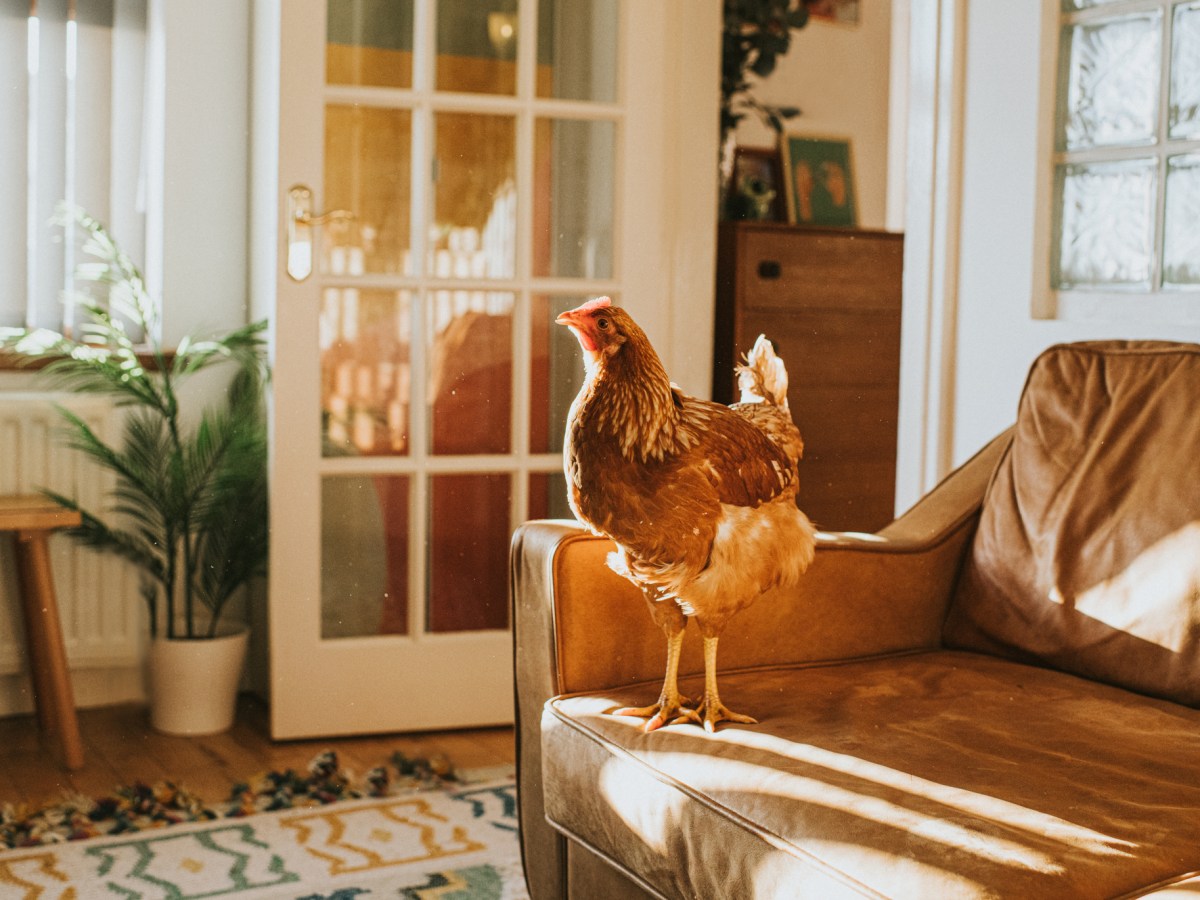 Airbnbs in Deutschland: Die schÃ¶nsten UnterkÃ¼nfte fÃ¼r ein 