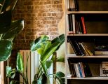 Bücherregal mit Pflanzen