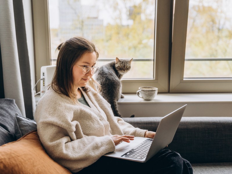 Junge Frau, die zu Hause mit einem Laptop arbeitet, während sie auf dem Sofa sitzt. Ihre Hauskatze sitzt neben ihr.