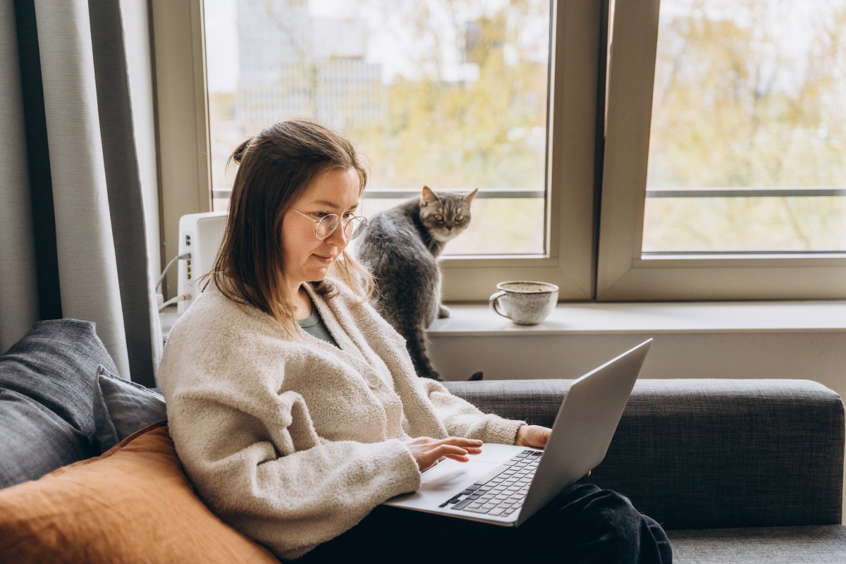Junge Frau, die zu Hause mit einem Laptop arbeitet, während sie auf dem Sofa sitzt. Ihre Hauskatze sitzt neben ihr.