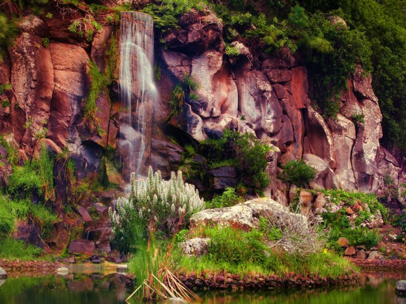 Jardín Botánico
