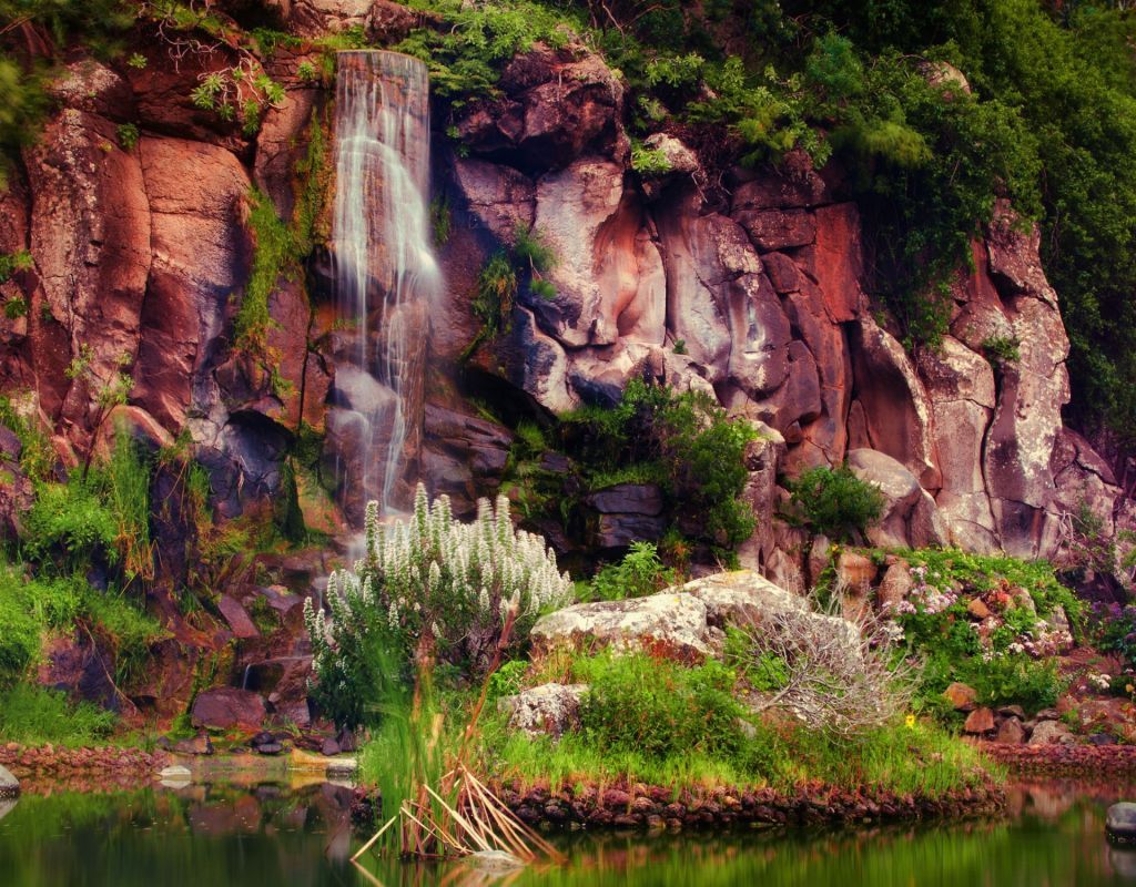 Jardín Botánico