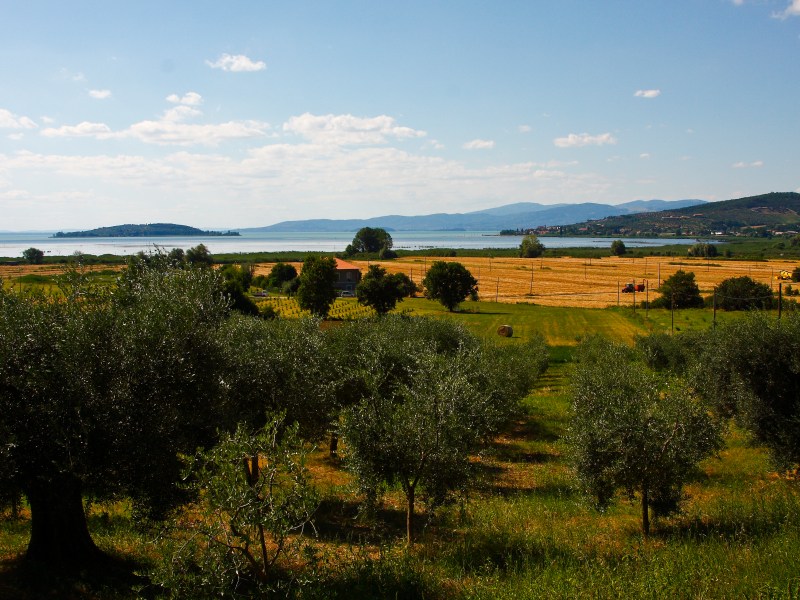 Reiseziel