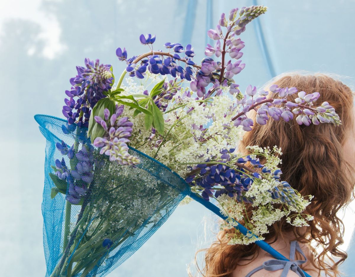 Lavendel