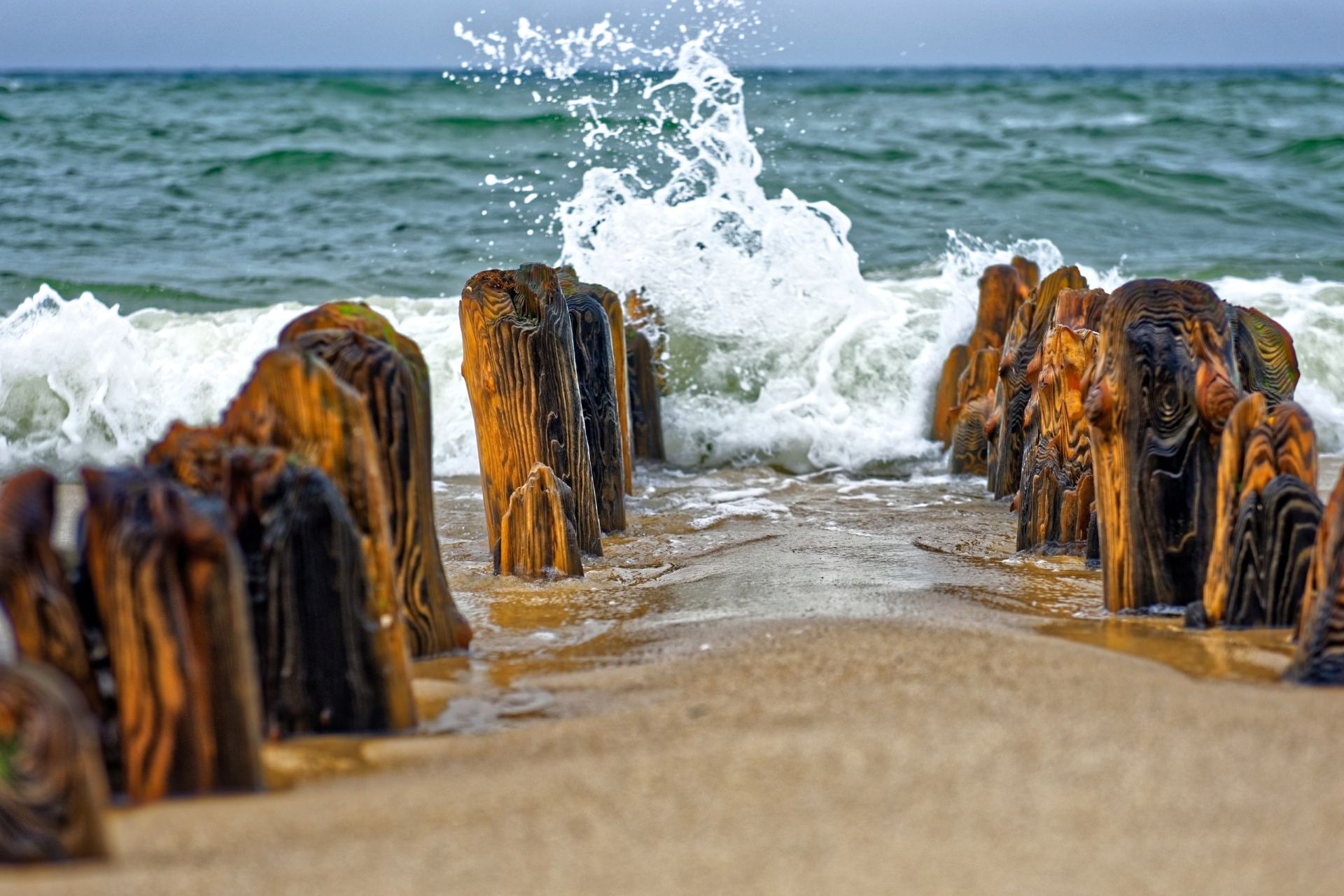 Sylt
