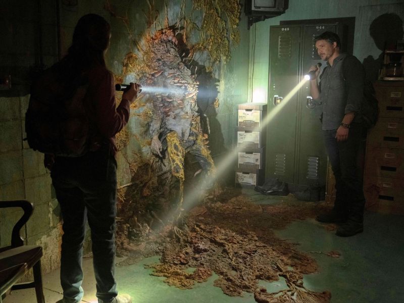 The Last of Us