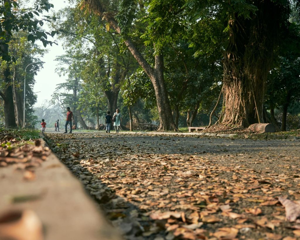 Acharya Jagadish Chandra Bose Indian Botanic Garden